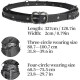 HiiFeuer Medieval DIY Faux Leather Metal Chain Belt, Vintage Adjustable Thin Belt For Women, Retro Skinny Belt For Dresses